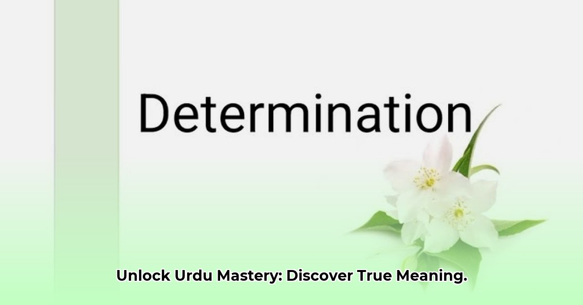determine-meaning-in-urdu